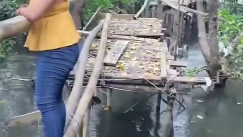 funny video