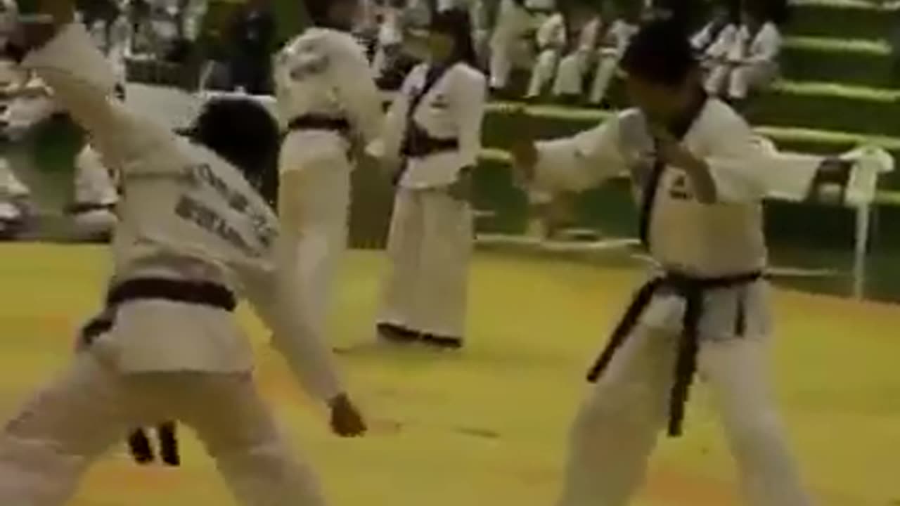 Hapkido