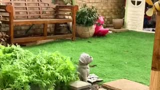 Extreme Winds Knock Over Brick Wall