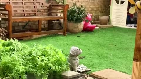 Extreme Winds Knock Over Brick Wall