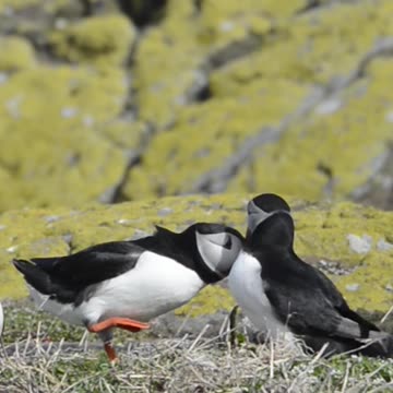 You've got a friend in me😍