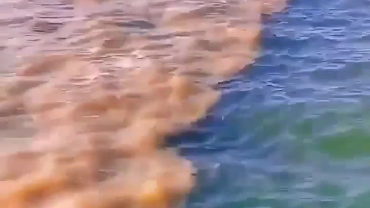 Pacific vs Atlantic