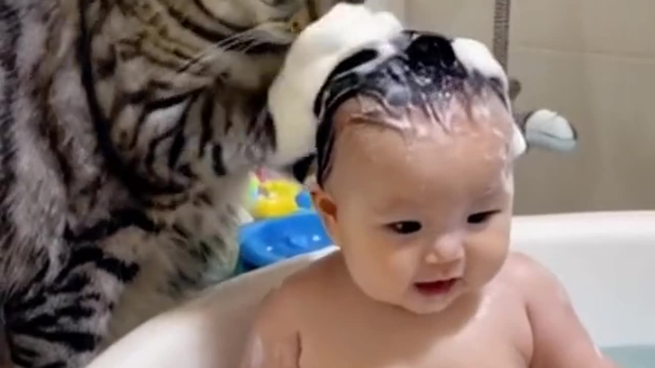 Funny cat with baby