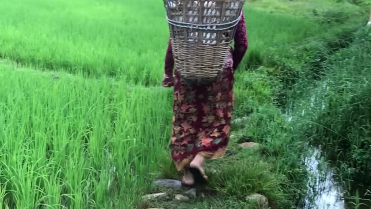 Village Life in Nepal