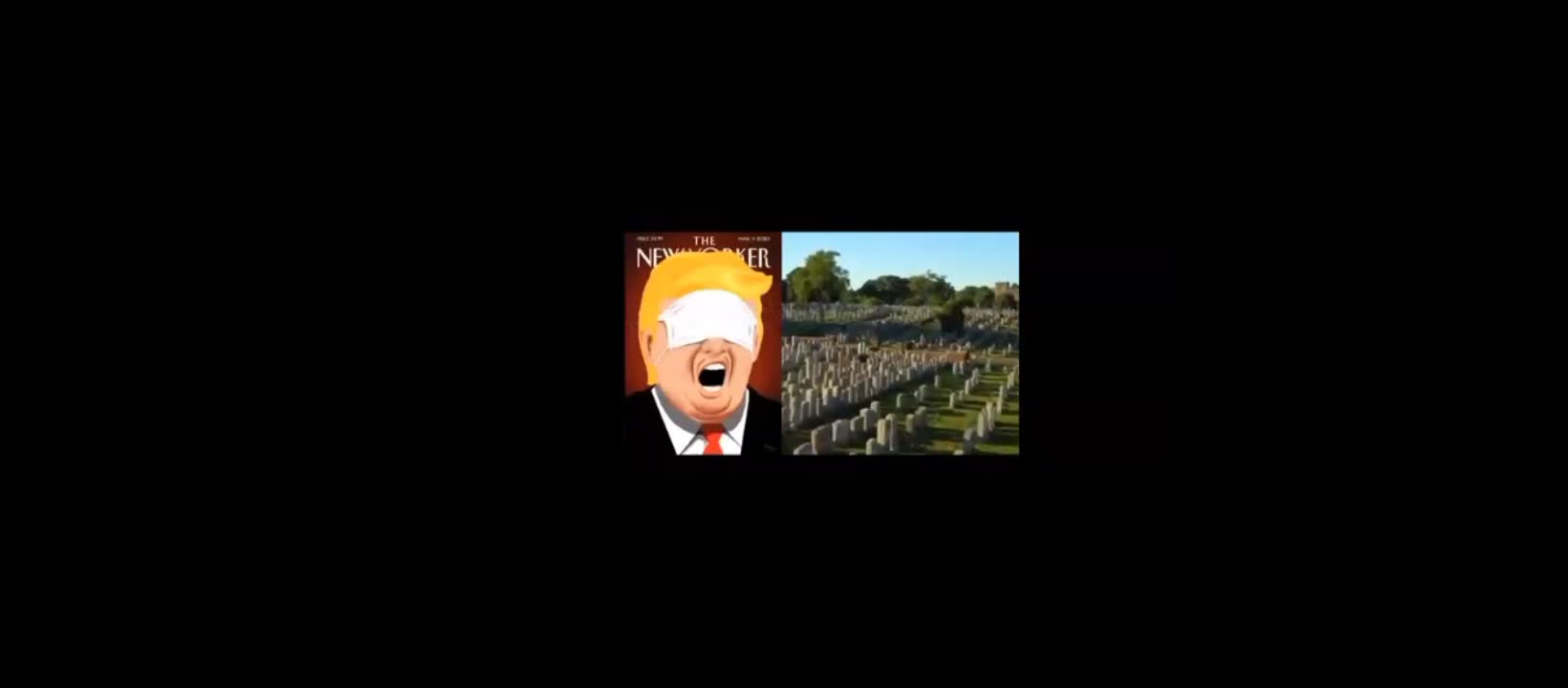 BANNED VIDEO!! How Democrats Stole The Election.