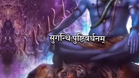 Har har mahadev 💜💝