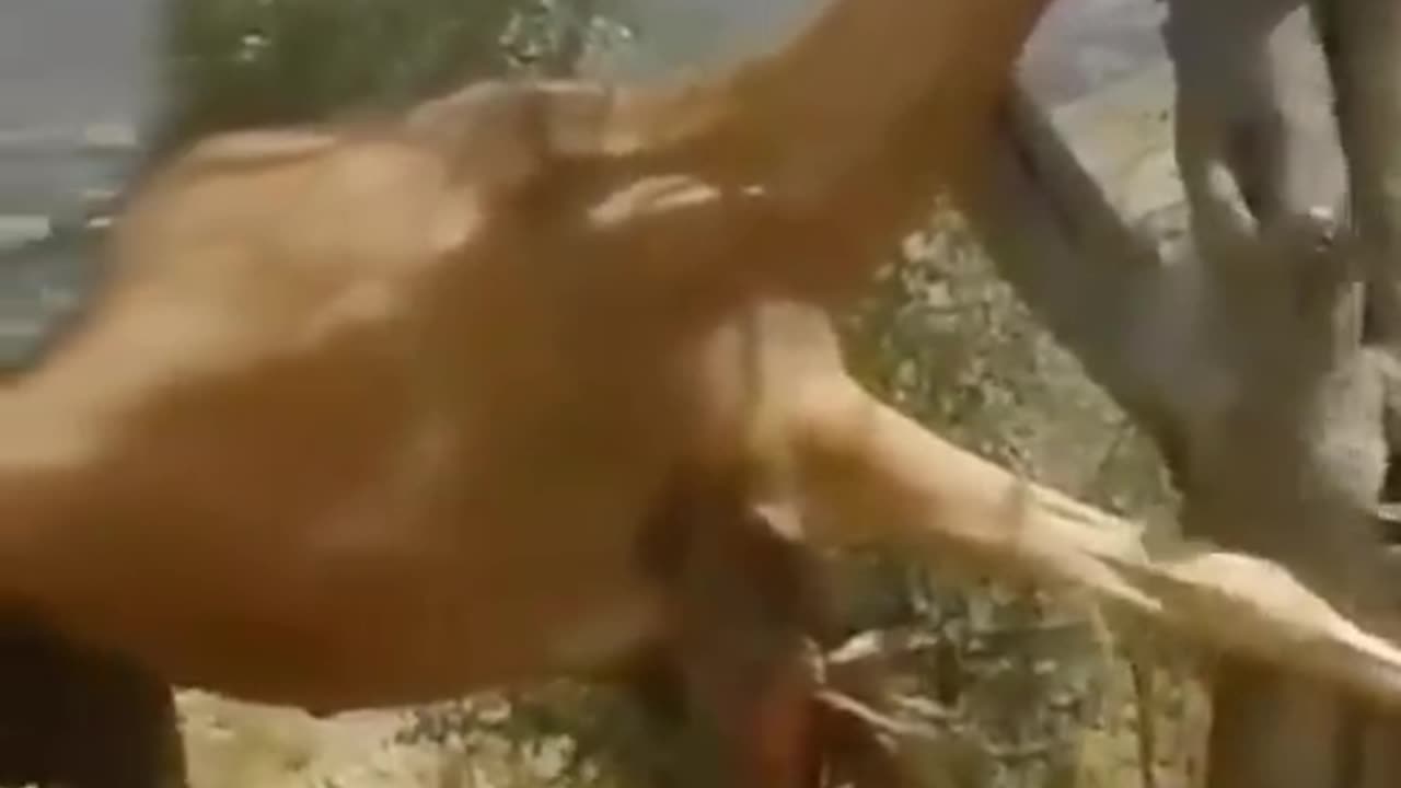 Amazing video for animal || Animal trending video 2023 !