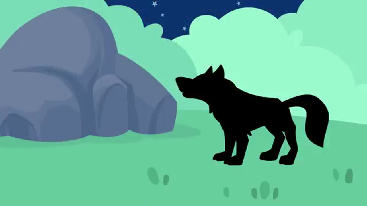 Wild animals
