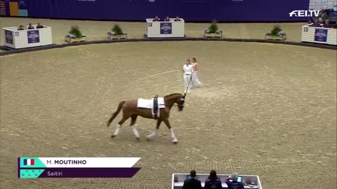 Manon Moutinho is the new WORLD CHAMPION | ECCO FEI World Championships 2022