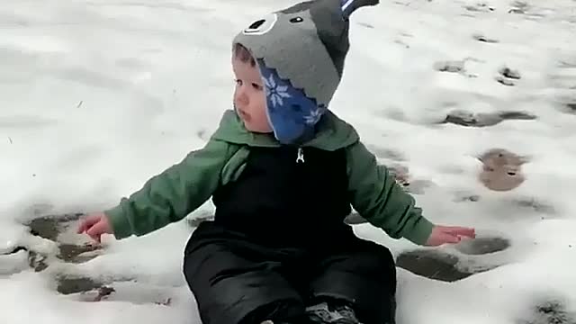 Playing with a dog in the snow