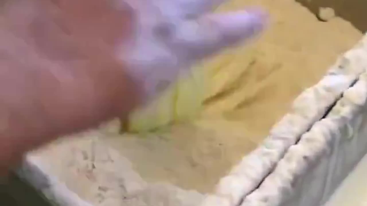 Onion