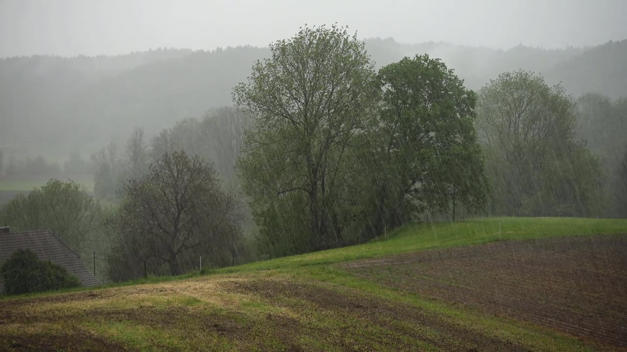 Soothing Rain Sounds for Sleeping and Relaxation Calm Your Mind with Thunder Ambiance