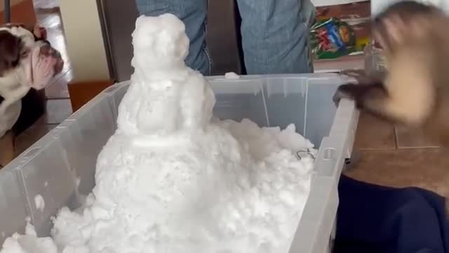 Snow!!