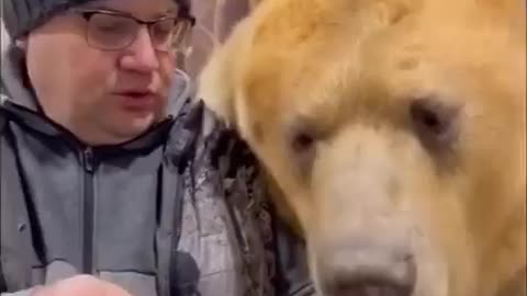 Feeding His Pet