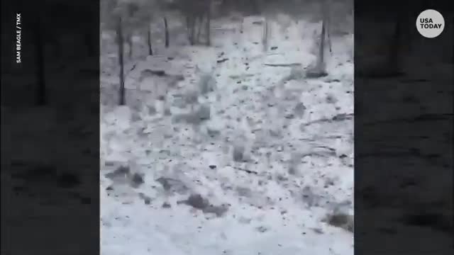 Snowy Pennsylvania interstate shutdown, at least three dead in pileups