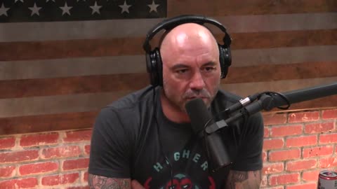Joe Rogan Experience #1136 - Hamilton Morris