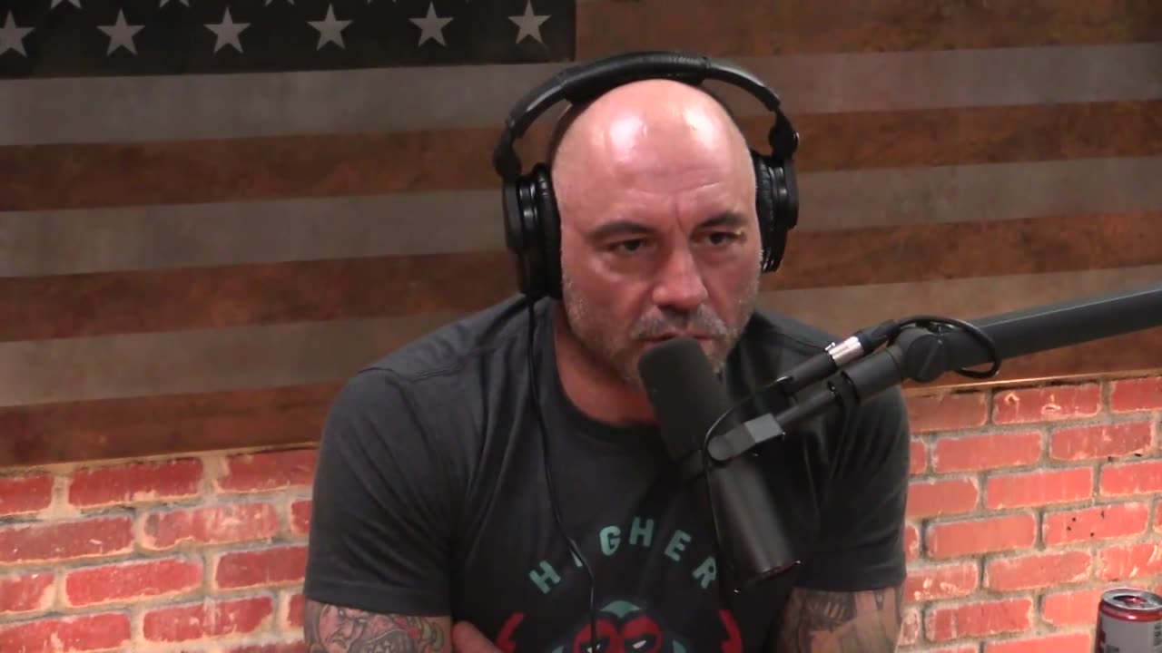 Joe Rogan Experience #1136 - Hamilton Morris