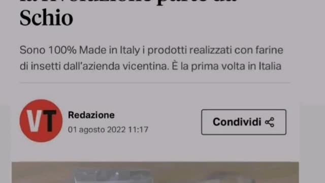Farina di insetti ...