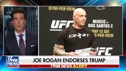 BREAKING NEWS_ Joe Rogan endorses Trump