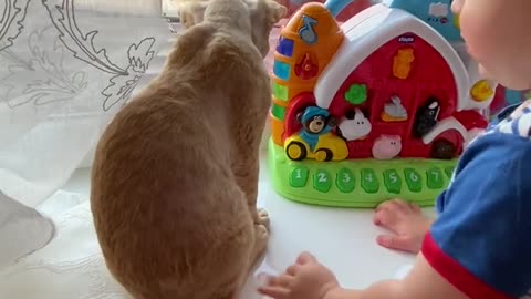 Cute funny baby video 🐈 you cat and children