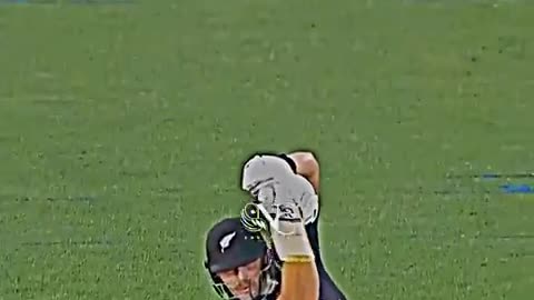 Guptil best shot