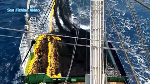 One Of The Largest Fishing Nets On A Large And Gigantic Sea Boat Which Is Wonderful