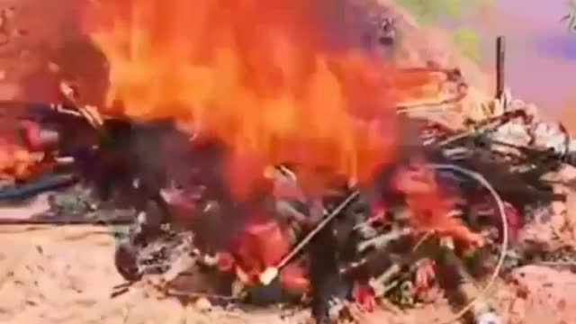 This is a beautiful and charming water-dwelling species