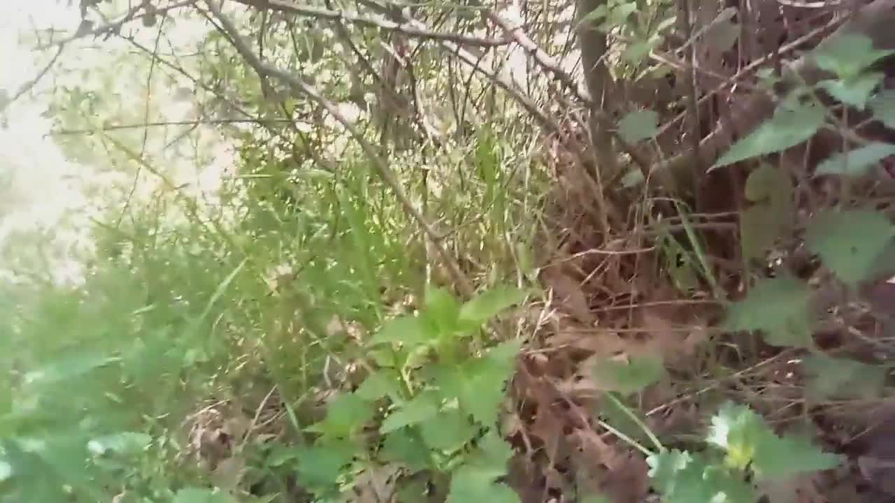 ΠΑΜΕ ΟΛΟΙ ΜΑΖΙ ΕΚΕΙ ΠΟΥ ΔΕΝ ΞΕΡΟΥΜΕ