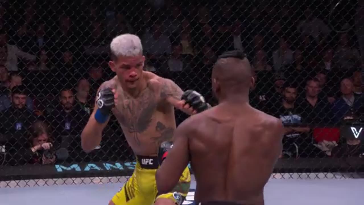 New ufc fighting championship