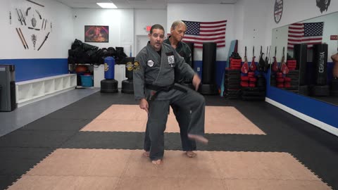 Correcting common errors executing the American Kenpo technique Wings of Silk