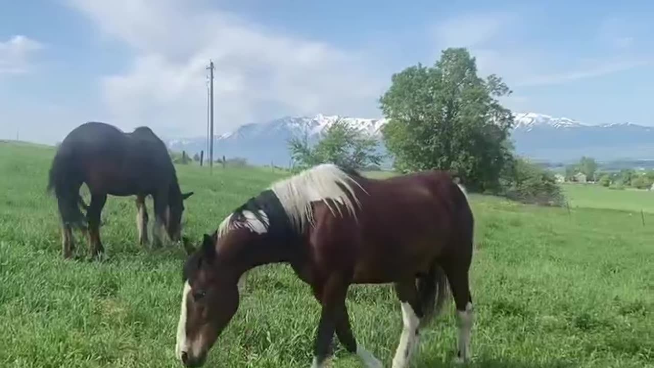 Funny moments in sky