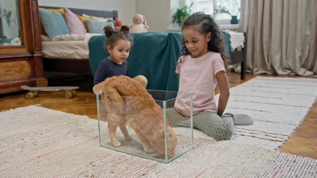 Kids are playing with pet animal video