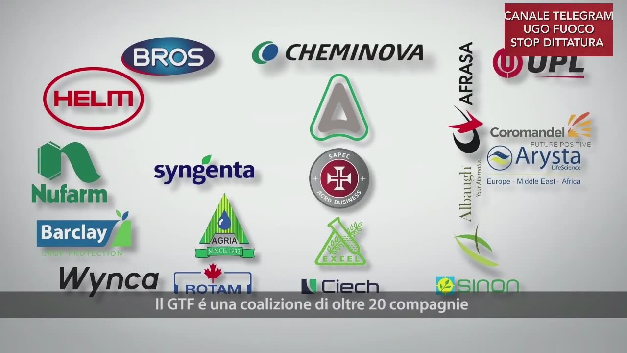 I VELENI DELLA MONSANTO STANNO PER ESSERE RIAPPROVATI - L'UNIONE EUROPEA AVRÀ LE MANI LIBERE.