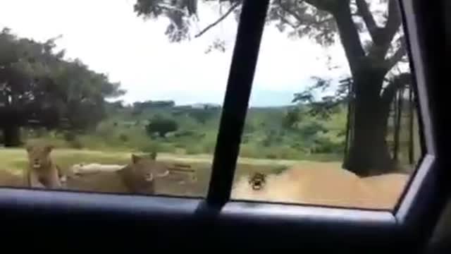 Watch funny video 📹 🤣