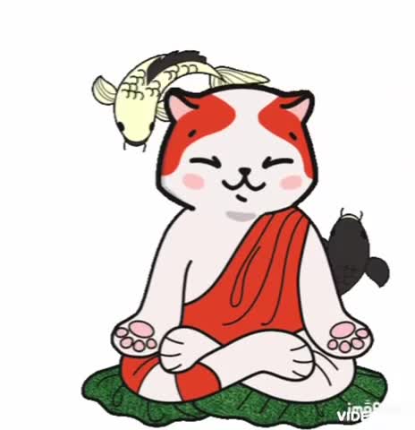 Buddha Cat GIF ☯️