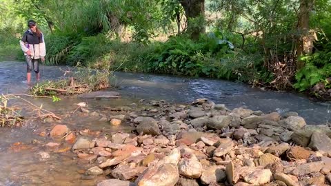 Build a wonderful shelter in the middle of a stream with adorable baby monkeys-5