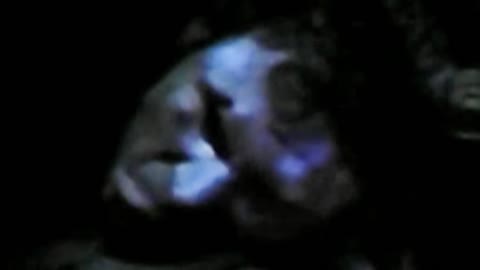 183. Physical Reptilian Shapeshifting In Your Face