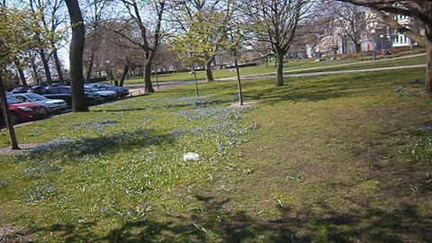 Jimmy i Stadsparken, Helsingborg 19 April 2014