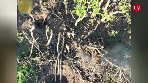 Drone attack on the Russian nest