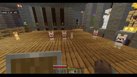 Minecraft - Cachorros Reunidos