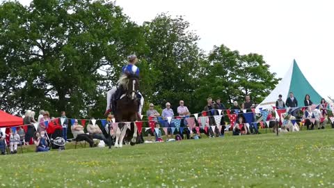 Galloping Acrobatics