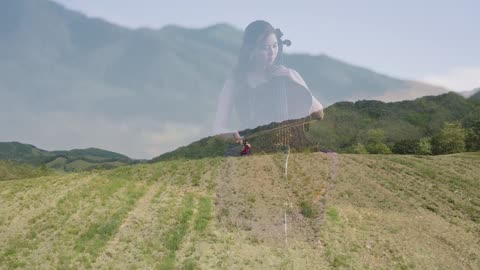 Asian Beauty Cello 19