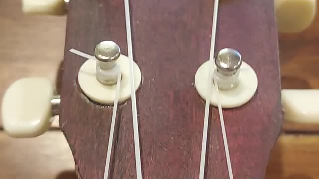 Exotic Wood Pentalele