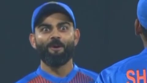 Wonderful shot of cricket world