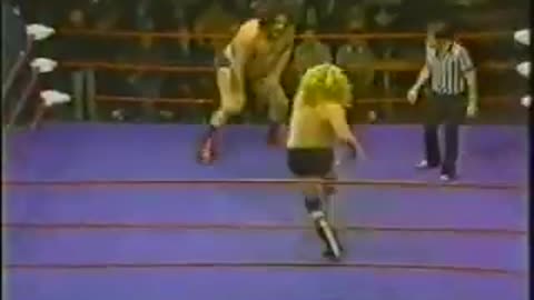 Andre the Giant vs Wild Bill Irwin (1982)