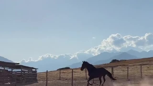 en Maras, Cuzco