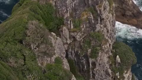 Here’s a beautiful view… Bay of Islands New Zealand