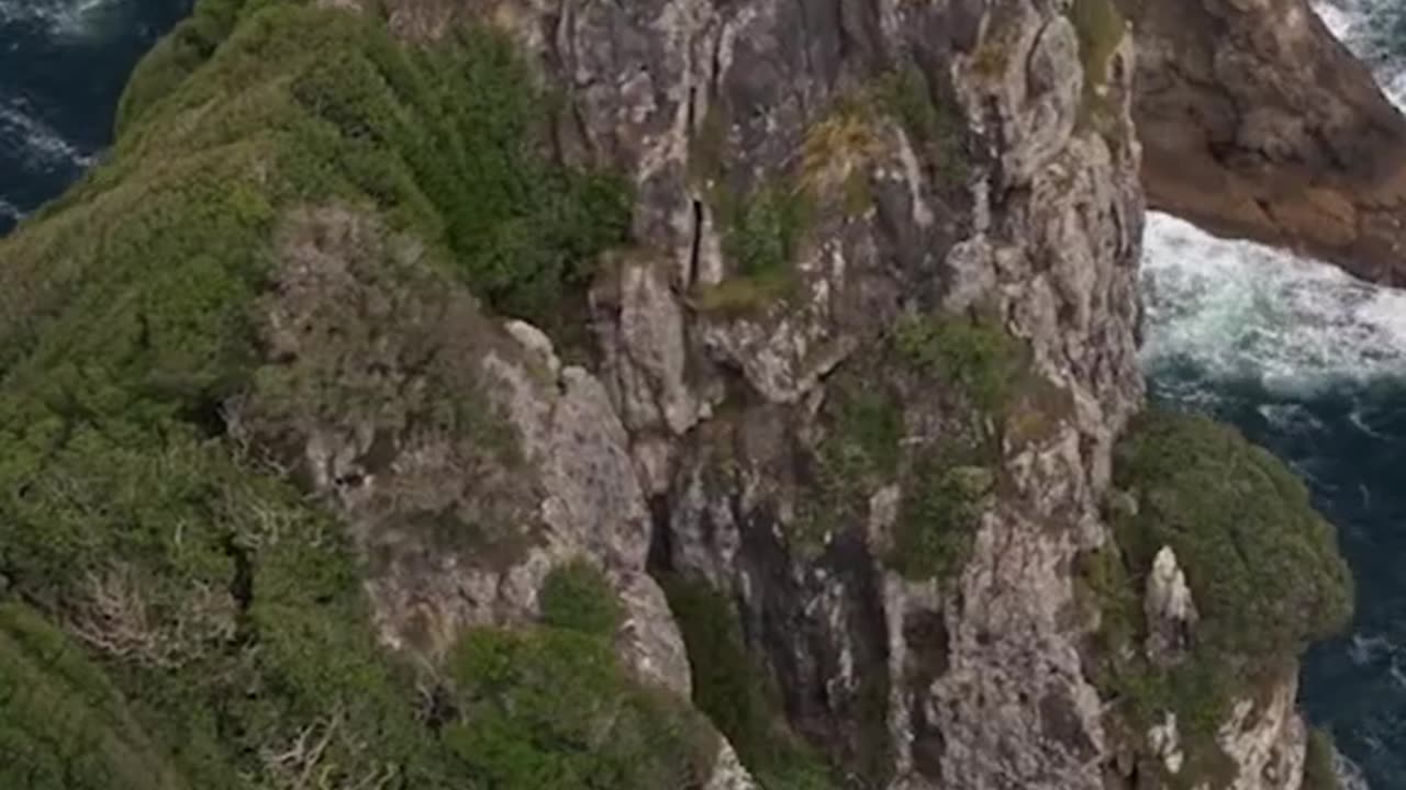 Here’s a beautiful view… Bay of Islands New Zealand