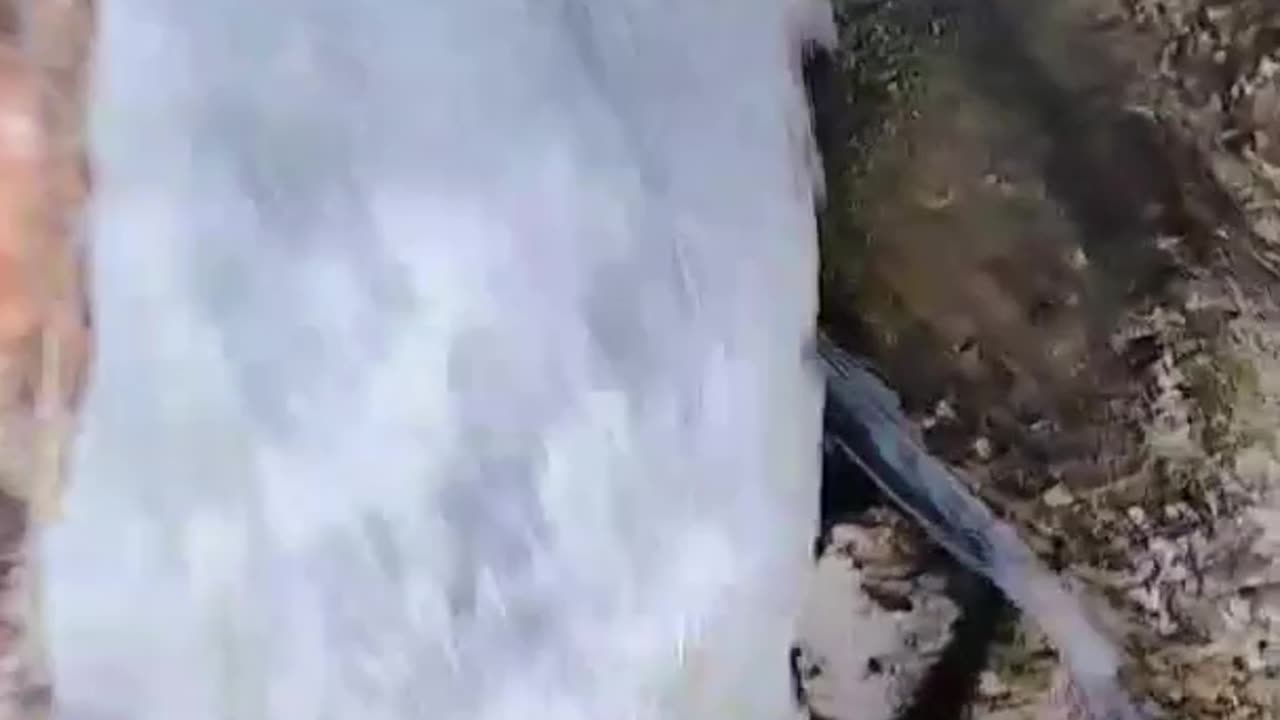 Nature vidéo