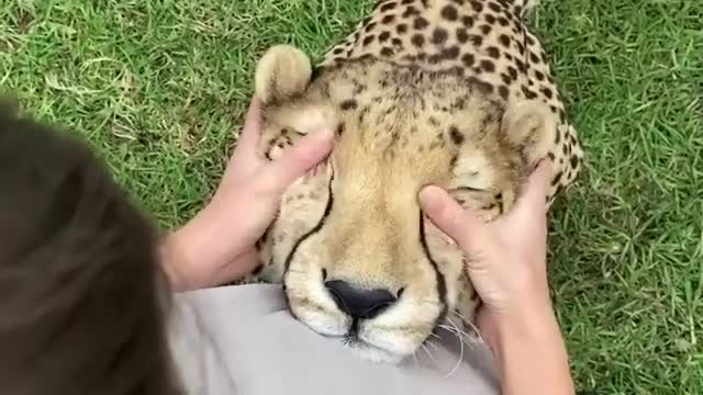 That cute look melts anyone 😺☺️